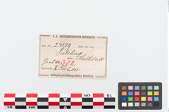 Etiketten zu Bronzebrillenfibel (NHMW-PRAE-024829)